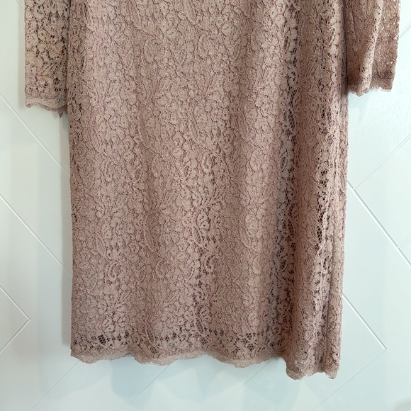 Adrianna Papell Dusty Rose Lace Dress - Picture 3 of 6
